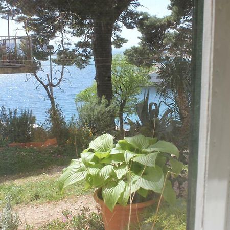 Apartman Tafra Omiš Extérieur photo